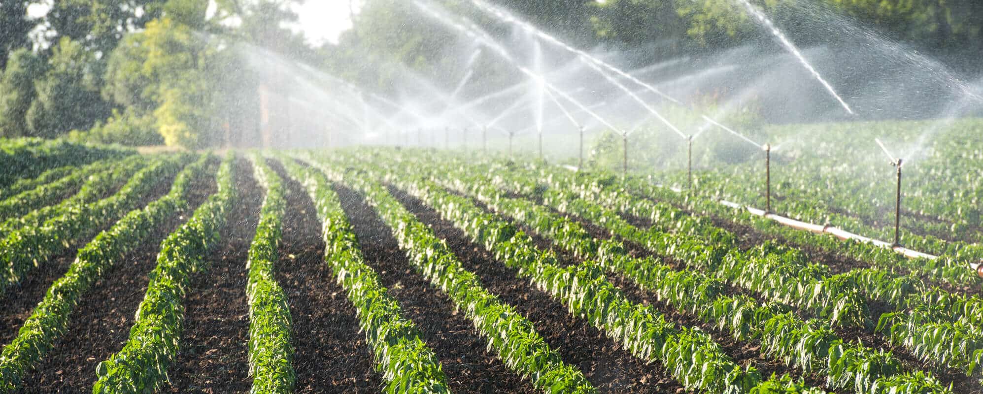 Irrigation System