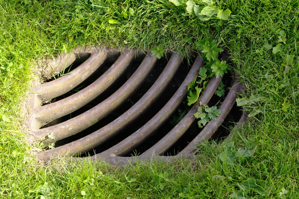 How to Tell If Your Yard Needs a Professional Drainage Solution