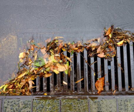 Storm drain clogged