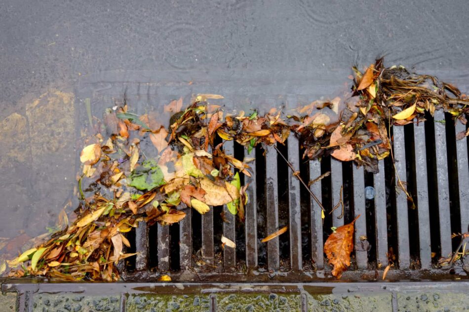 Storm drain clogged
