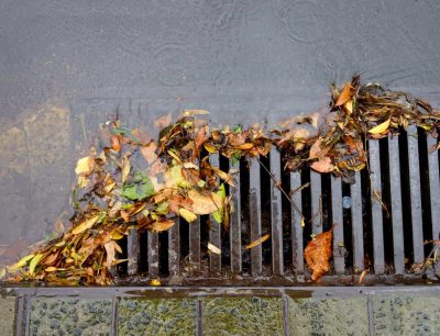 Storm drain clogged