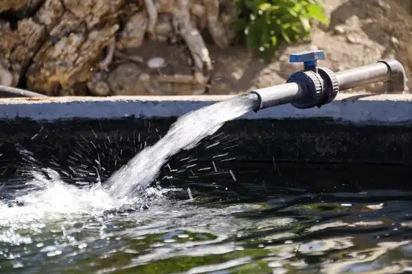 Water from a well