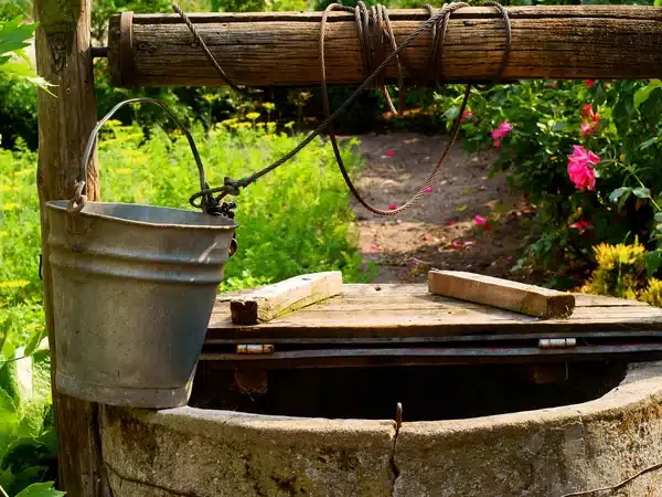 water well with basin
