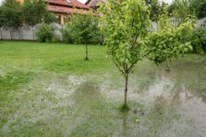 flooding in a yard with no proper drainage.